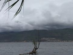 -才村湿地公园