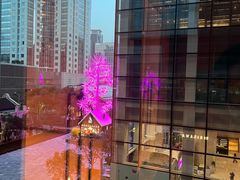 -上海静安香格里拉大酒店