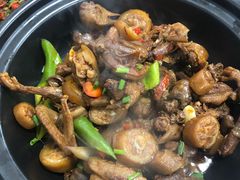 -龙小海荆沙鸽子店(瑞安街店)