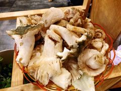 -易门野生菌府·菌海森林(月牙潭公园店)