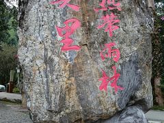 -莫里热带雨林景区
