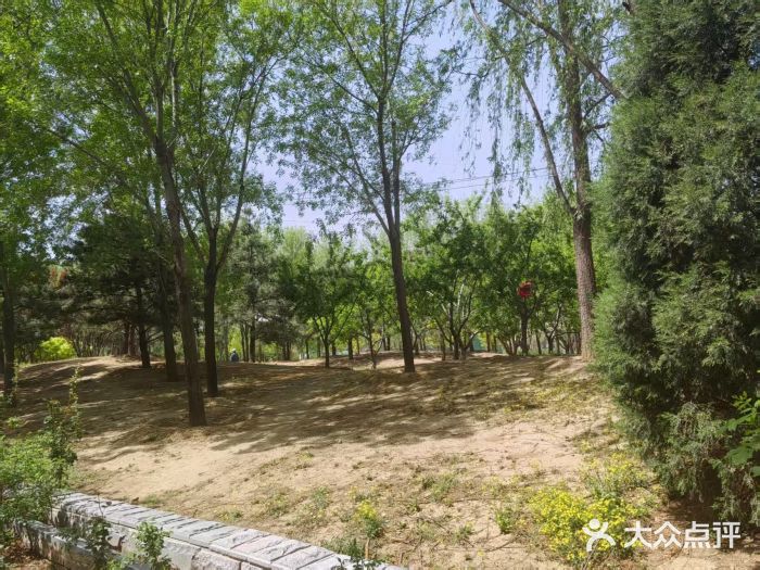 坝河休闲公园图片
