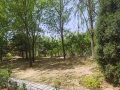 -坝河休闲公园
