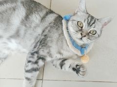 -怪兽屋·羊驼·猫咖·狗咖(俊华广场店)