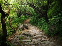 -阳台山自然风景区