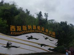 -西双版纳原始森林公园