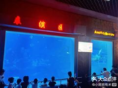 -昆明动物博物馆