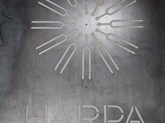 -冰岛阴茎博物馆