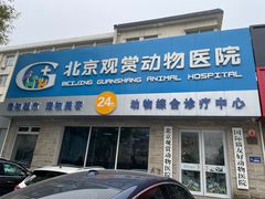 -北京观赏动物医院·24小时大型综合·猫专科·异宠专科