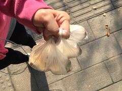 糯米包油条-糯米包油条(武汉大学店)