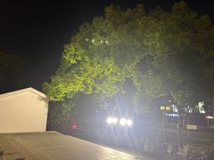 -苏州图书馆(人民路总馆)