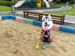 -同里湖度假村(二期店)