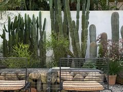 -自由生长植物工作室(深港花卉中心店)