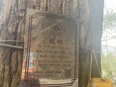 -丹山赤水风景名胜区