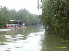 -大湾区中央湿地公园