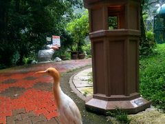 -吉隆坡雀鸟公园
