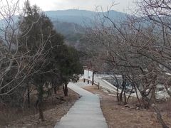 -北京西山国家森林公园