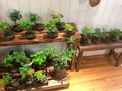 -Rabbit Cafe私房西餐甜点咖啡(栖霞路店)