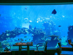 -天府中餐厅·粤菜·海南菜·生猛海鲜(三亚海棠湾洲际度假酒店)