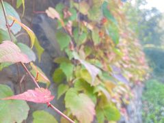 -香山公园