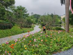-云溪植物园