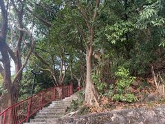 -小南山公园