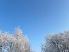 -雾凇岛