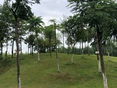 -眉山湿地公园(东坡区)