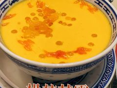 杨枝甘露-捷信牛奶甜品世家(五道口店)