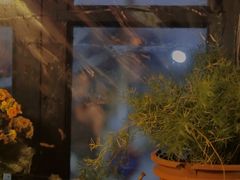 -不舍昼夜咖啡馆
