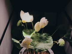 -茶叁酒肆·楚味江湖(菱角湖店)