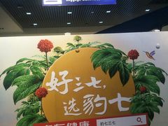 -丽江三义国际机场