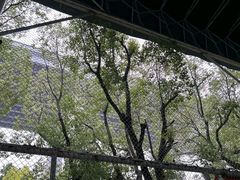 -飞梦少儿足球培训(塘桥校区)