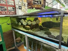 -無招牌海鮮(芽笼店)