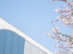 -龙美术馆(西岸馆)