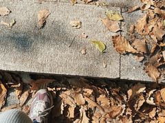 -黑龙潭风景区