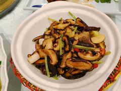 -金彤川菜(西稍门店)