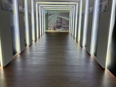 -凤凰中心