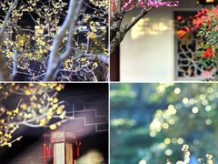 -上海海湾国家森林公园