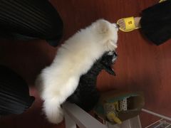 -零几体验diy皮具工作室(振业城店)
