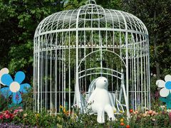 -上海共青森林公园