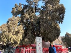 -四门塔风景区