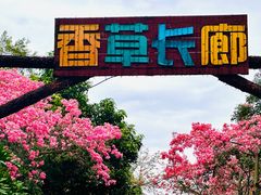 -广东花都香草世界旅游度假区