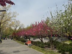 -丰台花园
