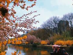 -元大都城垣遗址公园