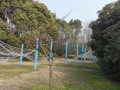 -长广溪湿地公园
