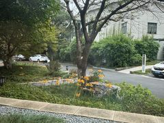 -浙江宾馆·花园餐厅·自助餐厅·茶吧