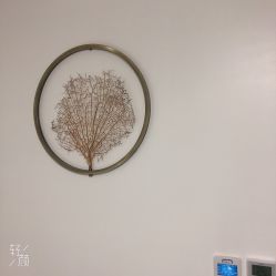 -麗宫轻医美·问题肌肤管理中心