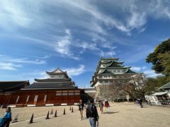 -名古屋城