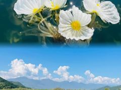 -丽江泸沽湖景区